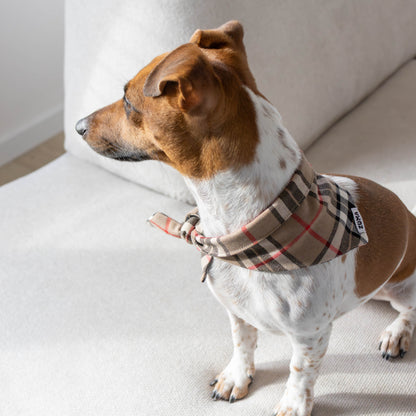 Hondenbandana Burberry