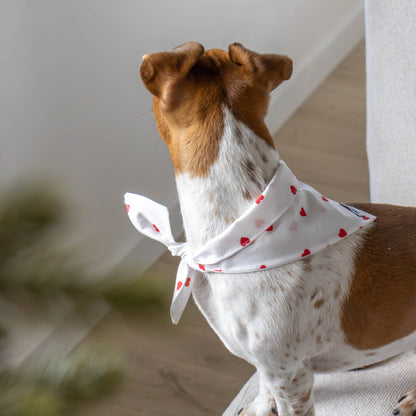 Hondenbandana Sweetheart