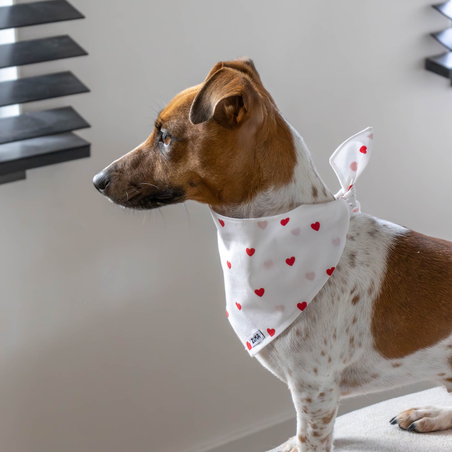 Hondenbandana Sweetheart