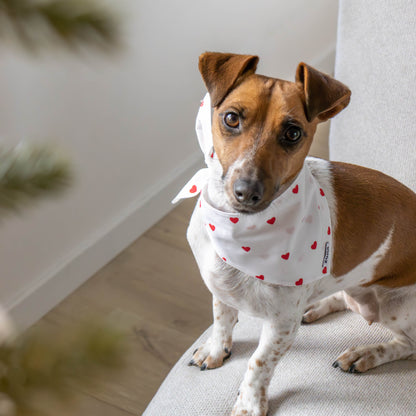 Hondenbandana Sweetheart