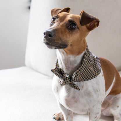 Hondenbandana Biscuit