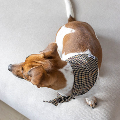 Hondenbandana Biscuit