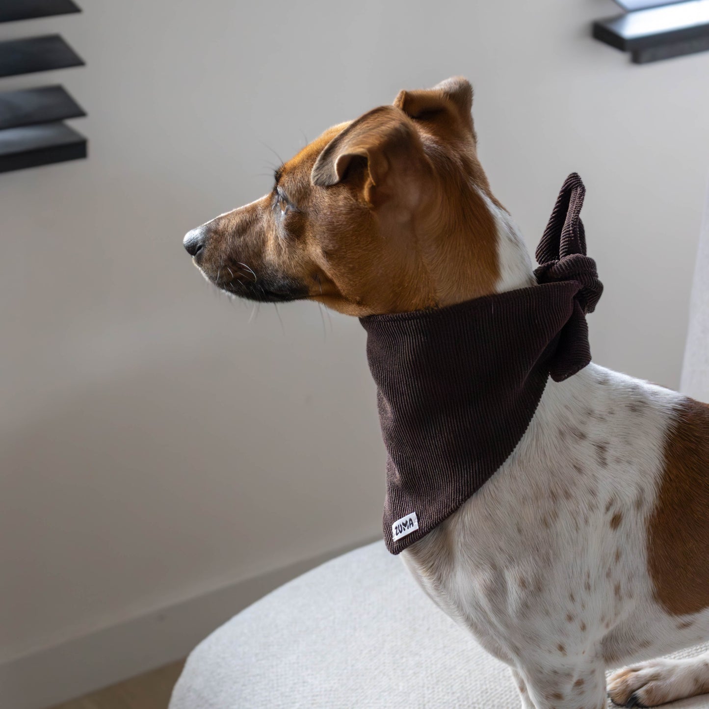 Hondenbandana Chocolate