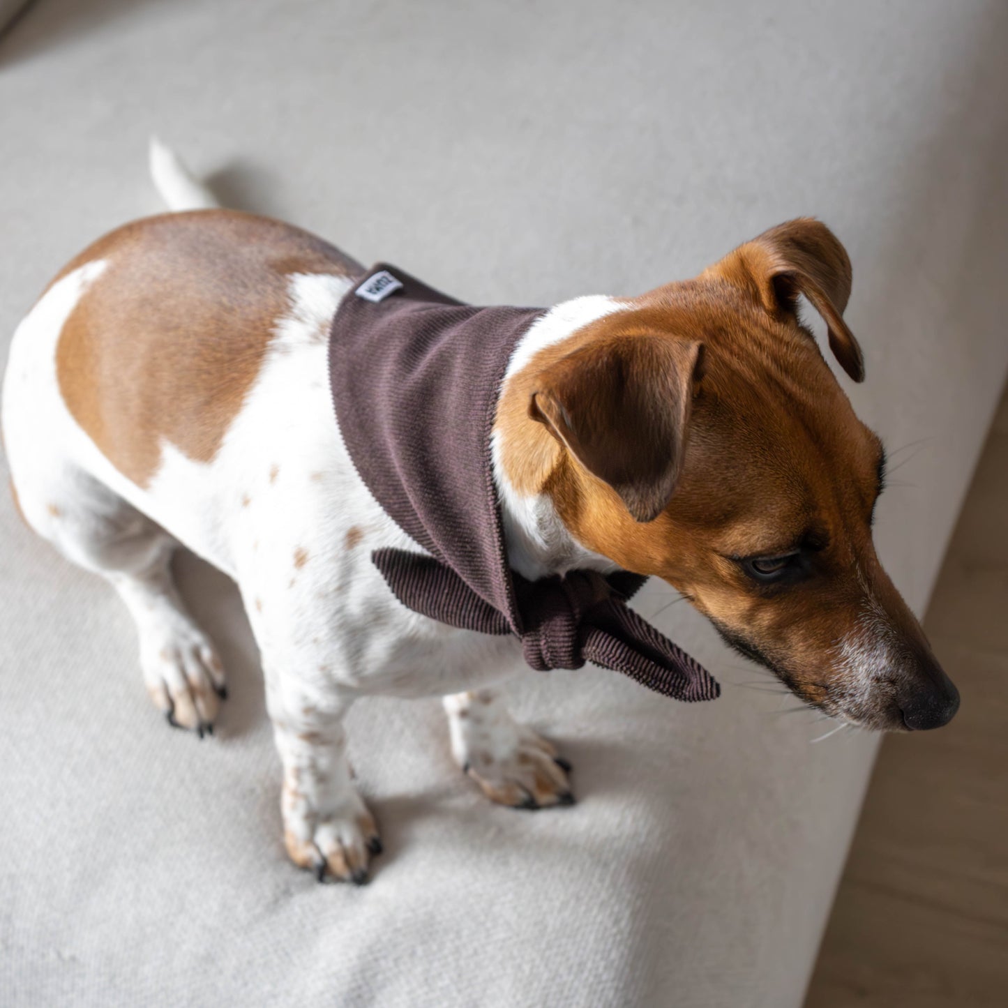 Hondenbandana Chocolate