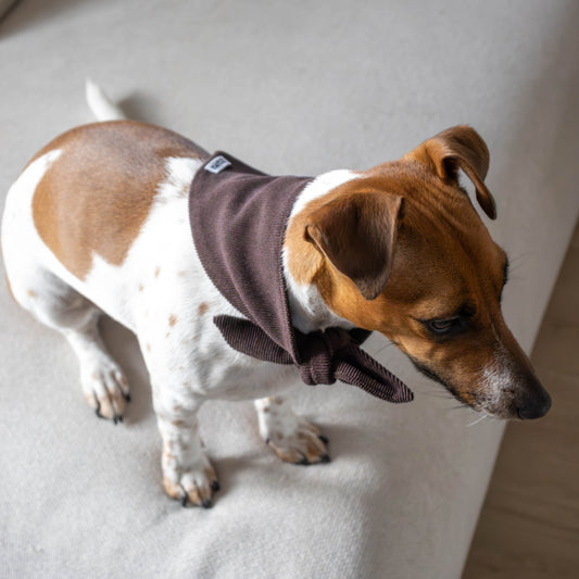 Hondenbandana Chocolate