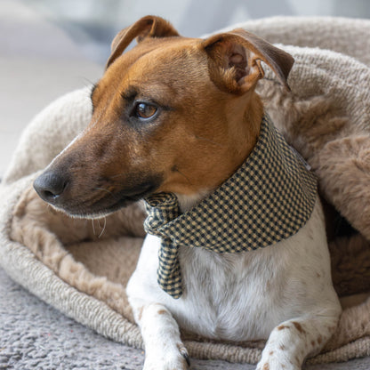 Hondenbandana Carreaux