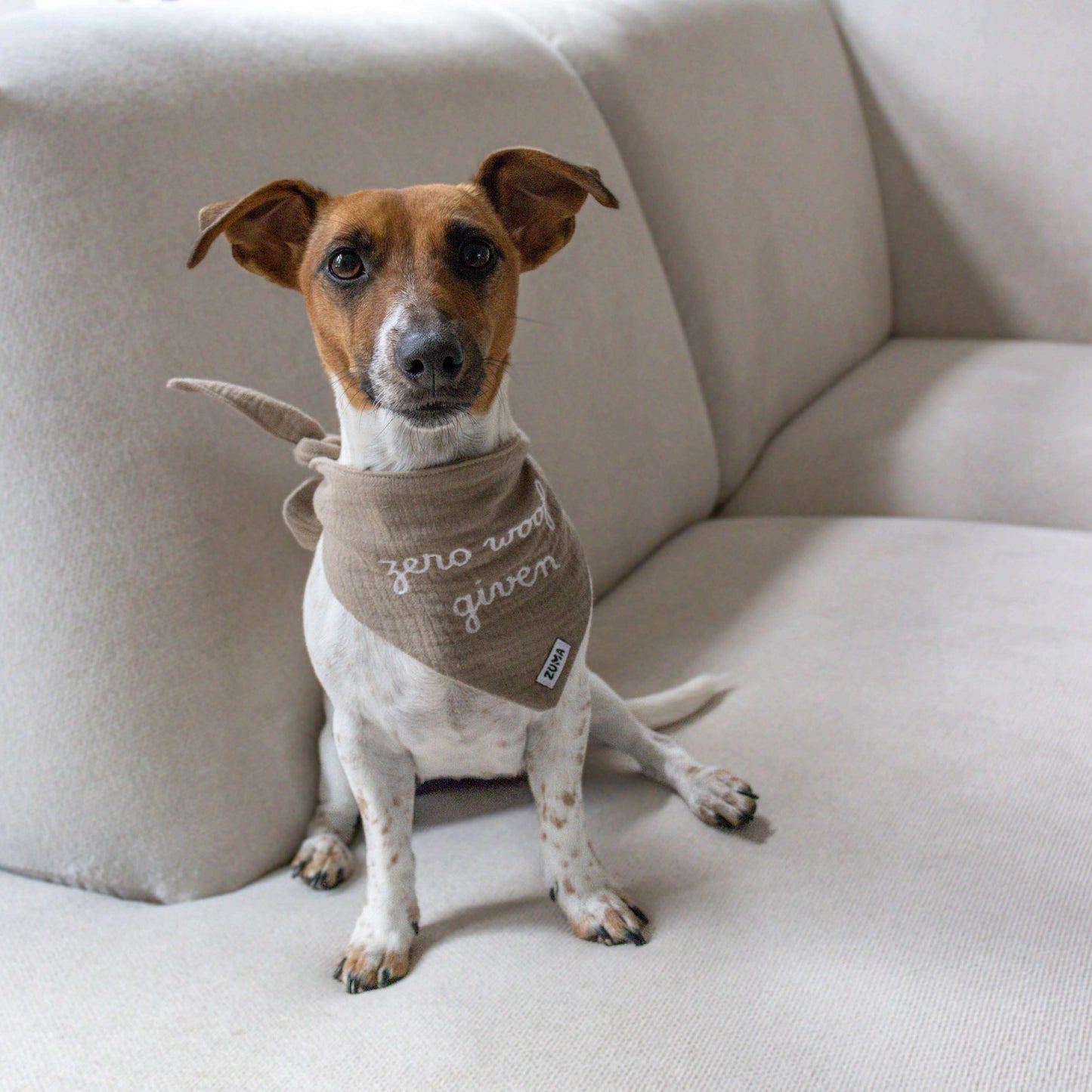 Hond draagt hondenbandana met zero woofs given op.