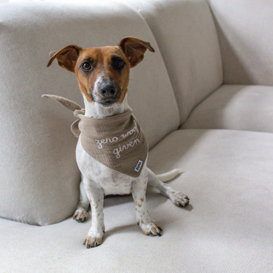 Hond draagt hondenbandana met zero woofs given op.