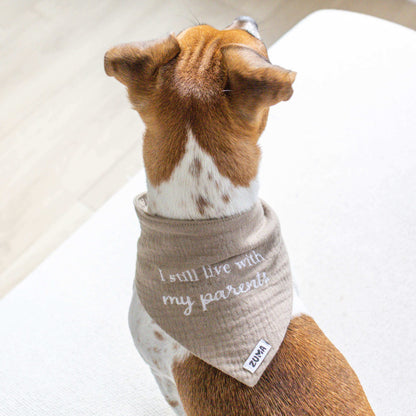 Hondenbandana I still live with my parents