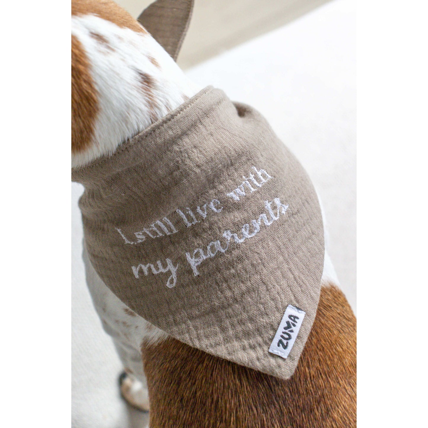 Hondenbandana I still live with my parents