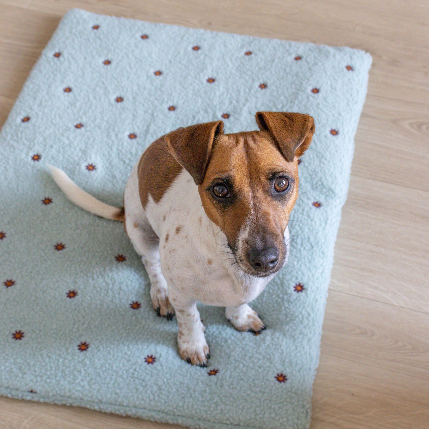 Hondenmat Flowers Minty Bloom