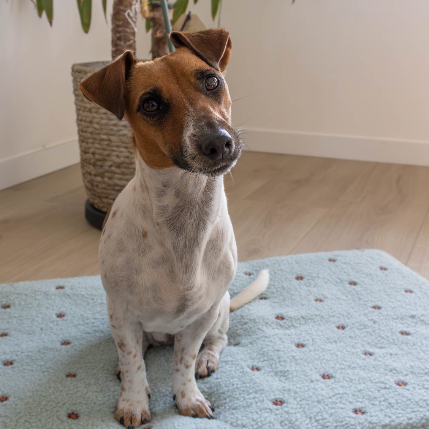 Hondenmat Flowers Minty Bloom