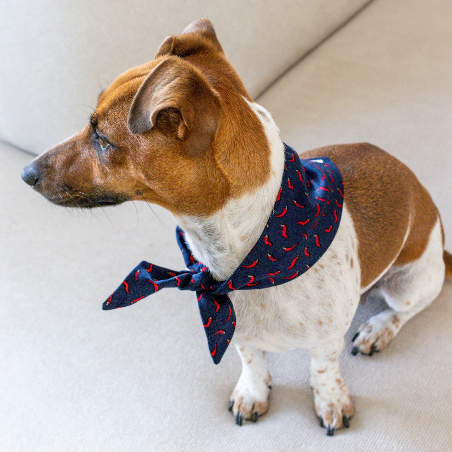 Hondenbandana Hot 'n Spicy