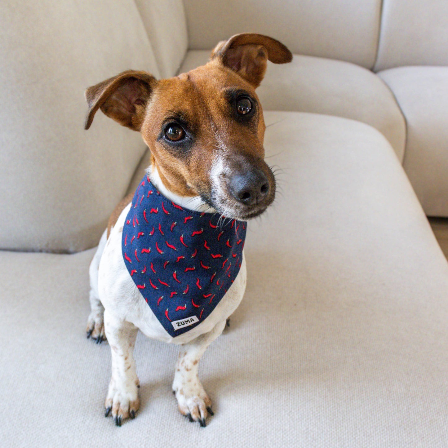 Hondenbandana Hot 'n Spicy