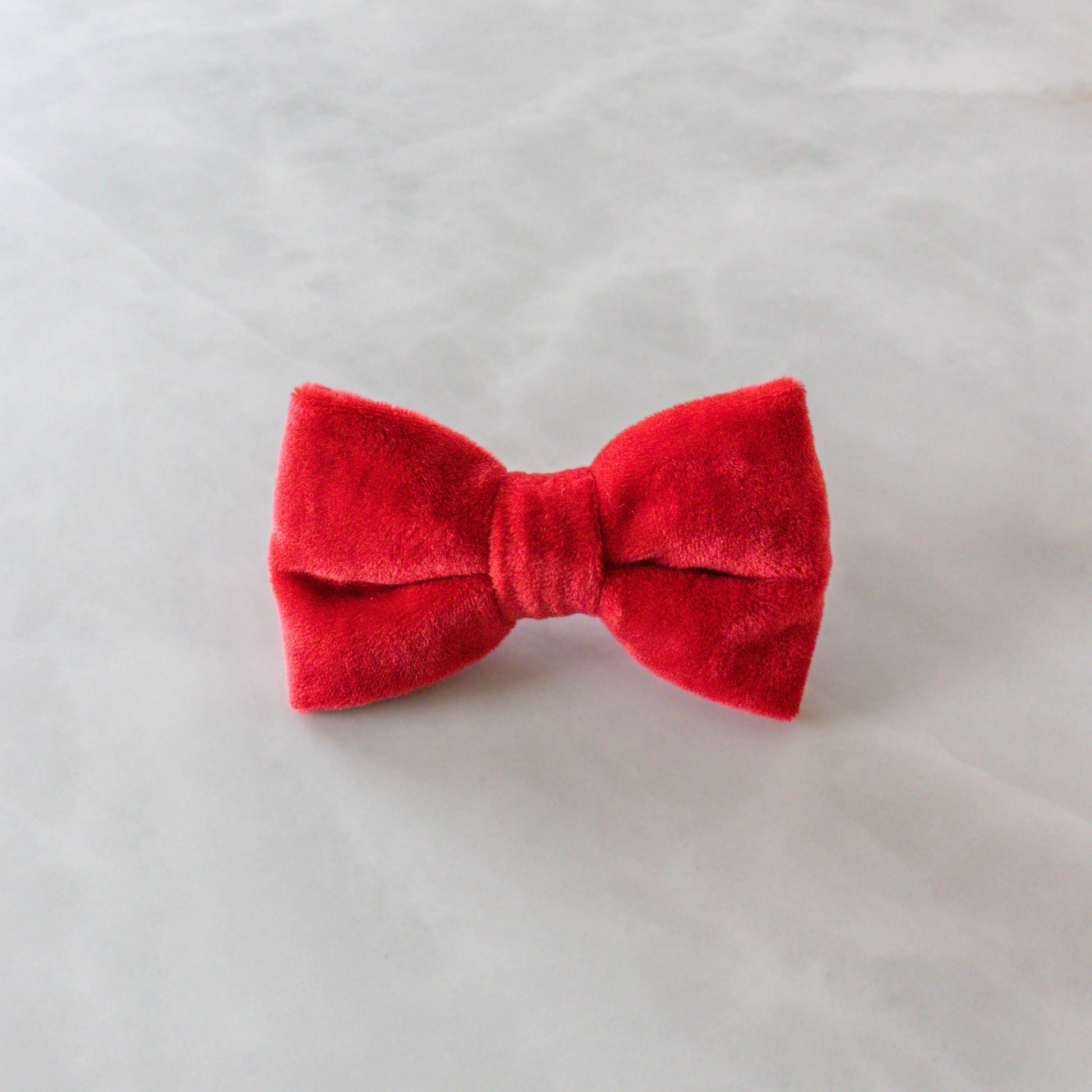 Strik voor een hond voor kerst in rood velvet