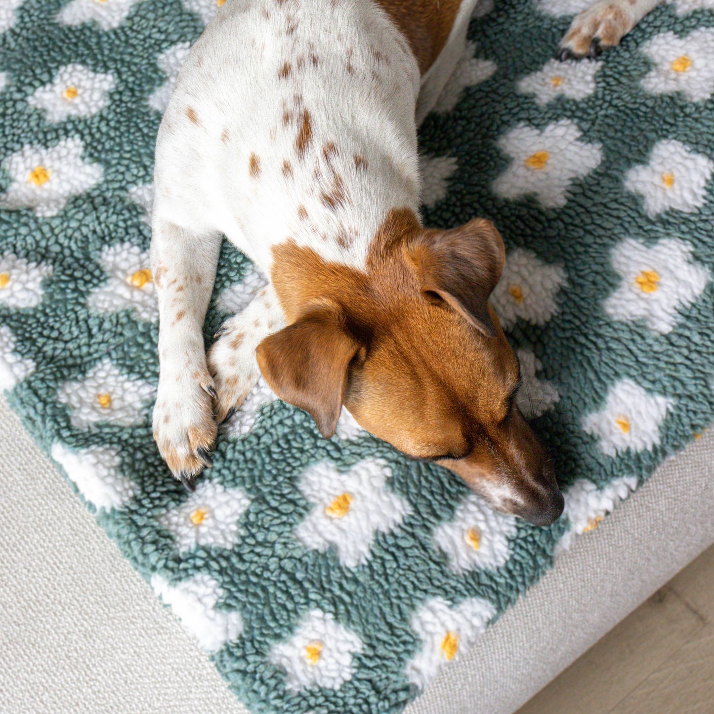 Hondenmat Flowers Sage Green