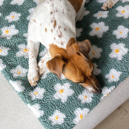 Hondenmat Flowers Sage Green