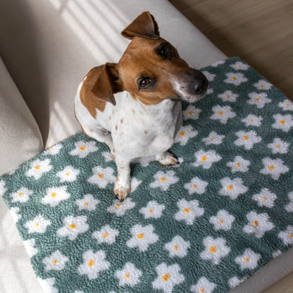 Hondenmat Flowers Sage Green