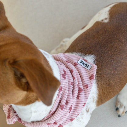 Hondenbandana Pink Tie