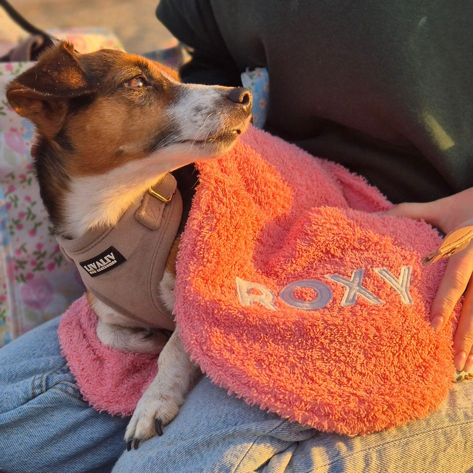 Handdoek om een hond mee af te drogen na een strandwandeling of boswandeling.