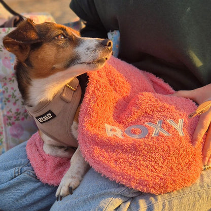 Handdoek om een hond mee af te drogen na een strandwandeling of boswandeling.