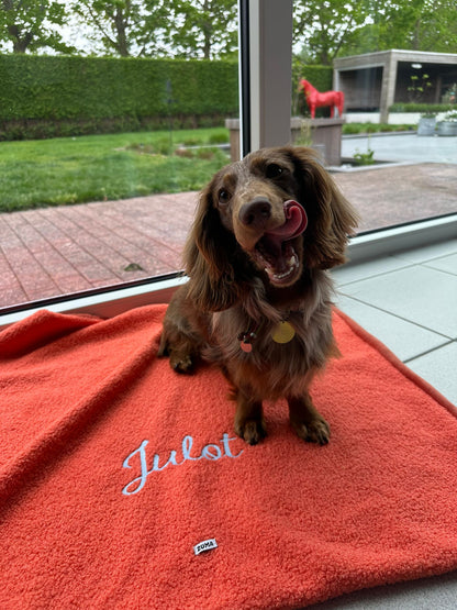 Gepersonaliseerd hondendeken clementine